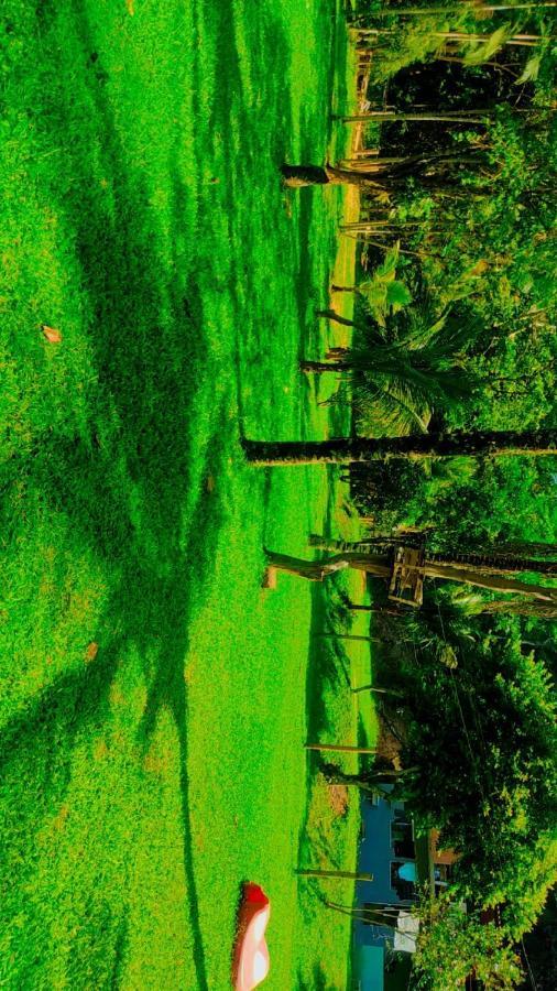 Parati Suite Dış mekan fotoğraf