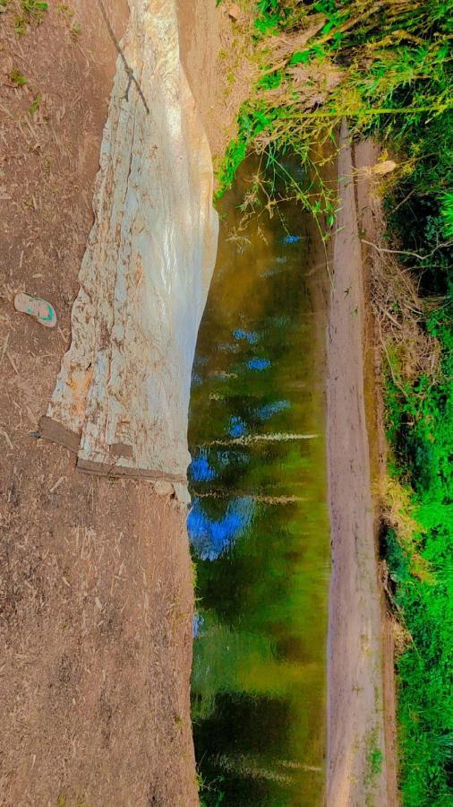 Parati Suite Dış mekan fotoğraf